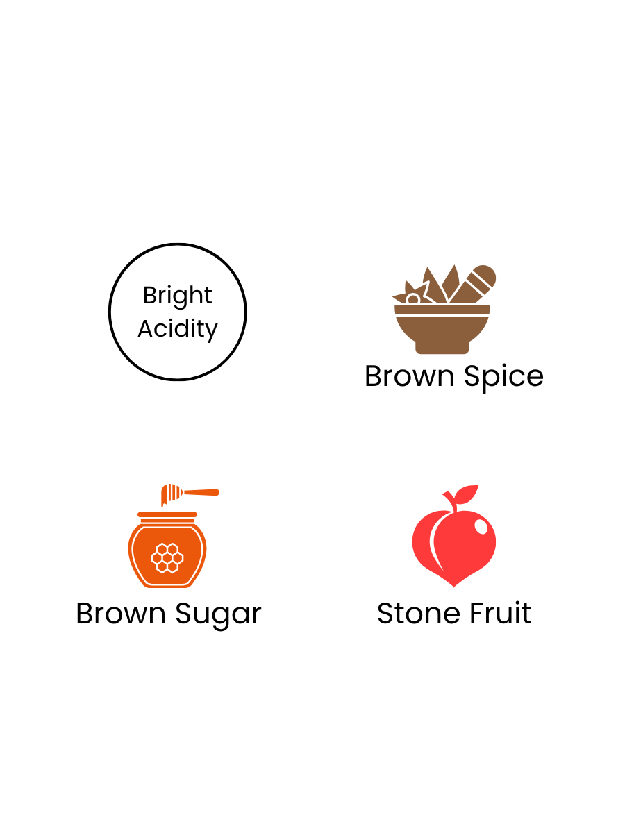 Costa Rica - Morning Dew